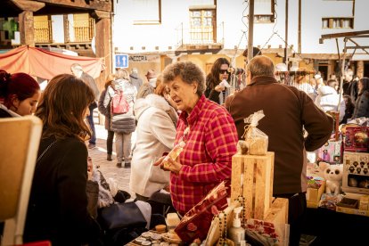Expositores y actividades de todo tipo