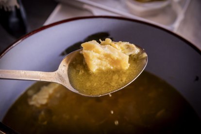 Expositores y actividades de todo tipo