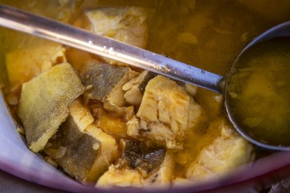 Expositores y actividades de todo tipo