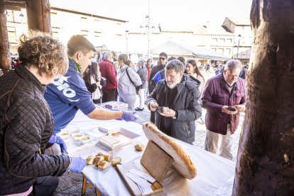 Expositores y actividades de todo tipo