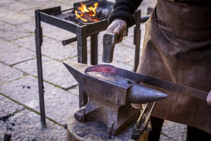 Expositores y actividades de todo tipo