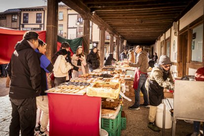 Expositores y actividades de todo tipo