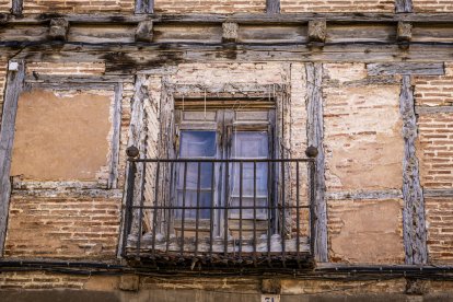 Expositores y actividades de todo tipo