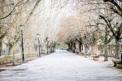Nuevas pintadas se suman al deterioro de la zona