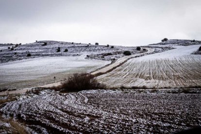 Complicaciones en la carretera y paseos pisando nieve