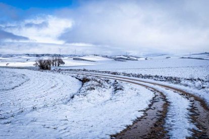 Complicaciones en la carretera y paseos pisando nieve