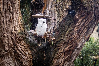 Complicaciones en la carretera y paseos pisando nieve