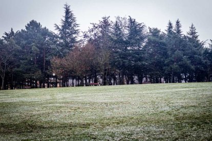 Complicaciones en la carretera y paseos pisando nieve