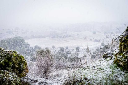 La nieve no mermó las ganas de instalar el Nacimiento