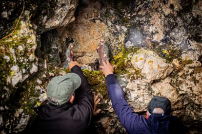La nieve no mermó las ganas de instalar el Nacimiento