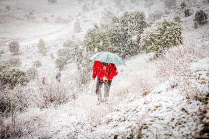 La nieve no mermó las ganas de instalar el Nacimiento