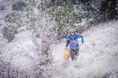 La nieve no mermó las ganas de instalar el Nacimiento