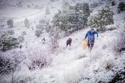 La nieve no mermó las ganas de instalar el Nacimiento