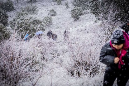 La nieve no mermó las ganas de instalar el Nacimiento