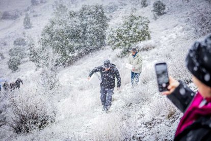 La nieve no mermó las ganas de instalar el Nacimiento