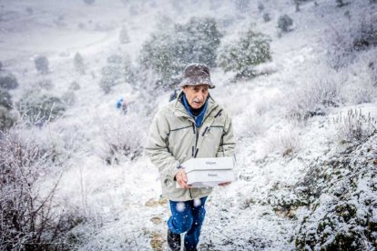 La nieve no mermó las ganas de instalar el Nacimiento
