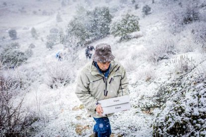 La nieve no mermó las ganas de instalar el Nacimiento