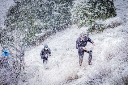 La nieve no mermó las ganas de instalar el Nacimiento