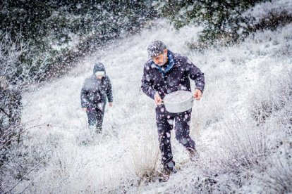 La nieve no mermó las ganas de instalar el Nacimiento