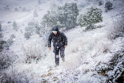 La nieve no mermó las ganas de instalar el Nacimiento