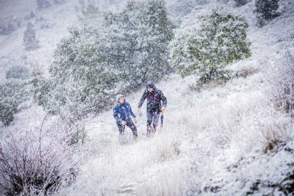La nieve no mermó las ganas de instalar el Nacimiento