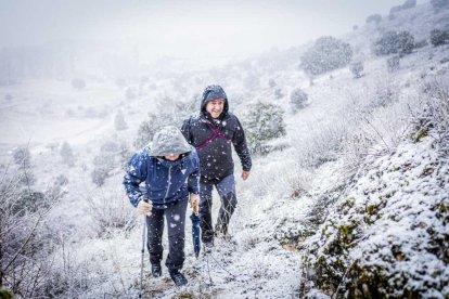 La nieve no mermó las ganas de instalar el Nacimiento