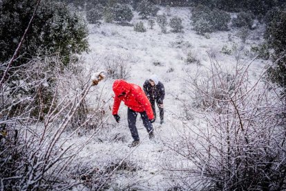 La nieve no mermó las ganas de instalar el Nacimiento