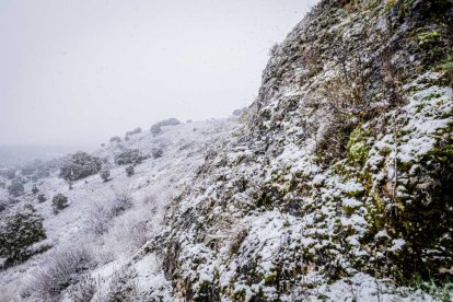 La nieve no mermó las ganas de instalar el Nacimiento