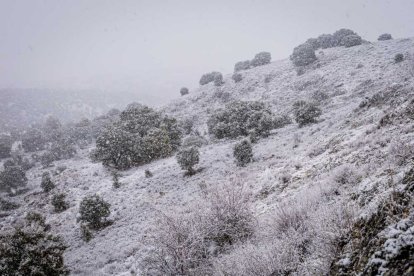 La nieve no mermó las ganas de instalar el Nacimiento