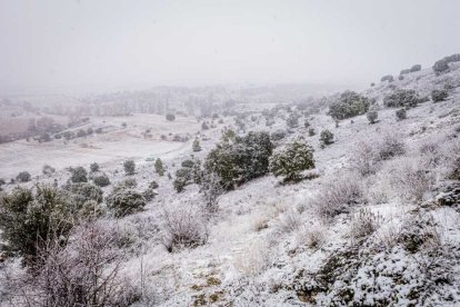 La nieve no mermó las ganas de instalar el Nacimiento