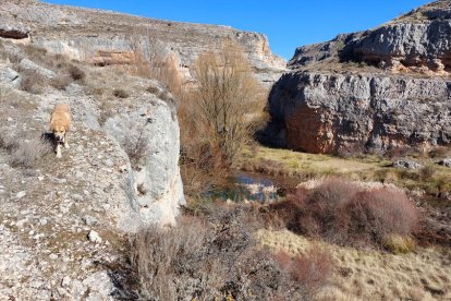 Una ruta por uno de los lugares más bellos y desconocidos de Soria