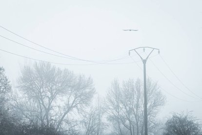 Las brumas engelantes condicionaron el paisaje