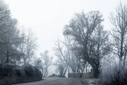 Las brumas engelantes condicionaron el paisaje