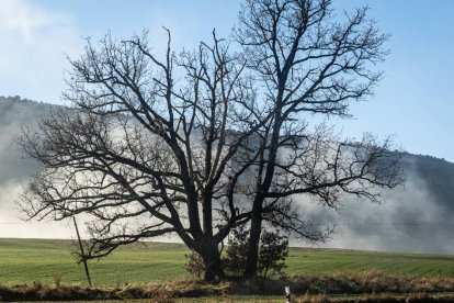 Las brumas engelantes condicionaron el paisaje