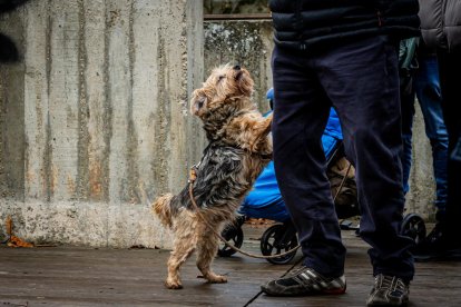 Shows de magia en distintos puntos de la ciudad