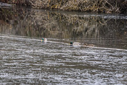 El frío invernal congeló ríos y fuentes