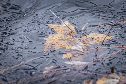 El frío invernal congeló ríos y fuentes