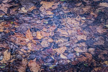 El frío invernal congeló ríos y fuentes
