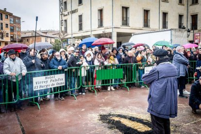 El Burgo de Osma celebra una auténtica cerdo experiencia