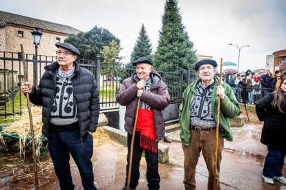 El Burgo de Osma celebra una auténtica cerdo experiencia