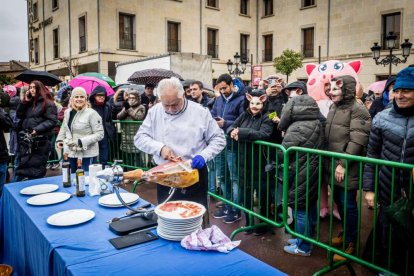 El Burgo de Osma celebra una auténtica cerdo experiencia