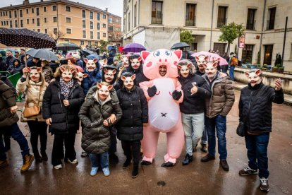 El Burgo de Osma celebra una auténtica cerdo experiencia