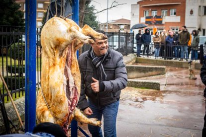 El Burgo de Osma celebra una auténtica cerdo experiencia