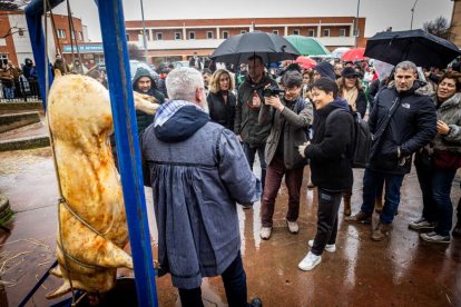 El Burgo de Osma celebra una auténtica cerdo experiencia
