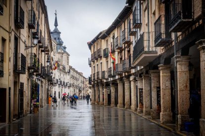El Burgo de Osma celebra una auténtica cerdo experiencia