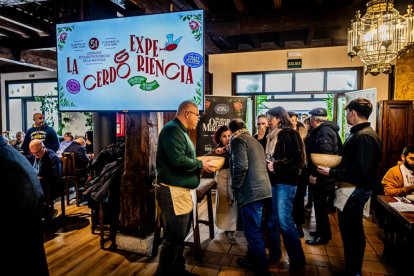 El Burgo de Osma celebra una auténtica cerdo experiencia