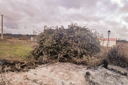 Los vecinos disfrutaron de una noche en comunidad