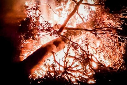 Los vecinos disfrutaron de una noche en comunidad