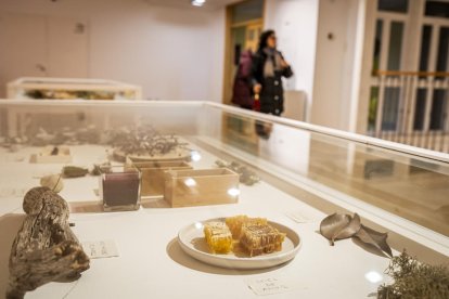 La muestra puede visitarse en el Centro Cultural Gaya Nuño