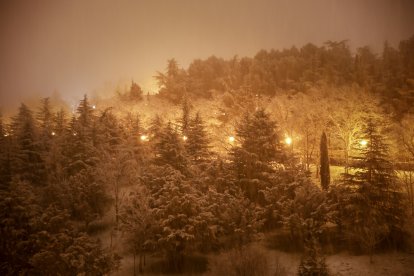 La nieve cubre Soria y el parque del Castillo.